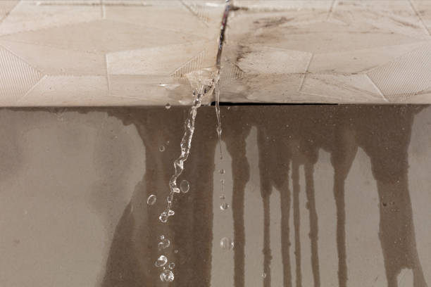 Professional Water Damage Repair technician working in Morris Chapel, TN